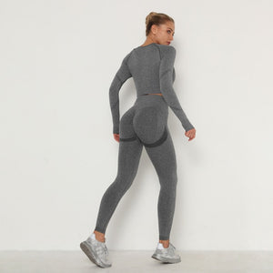 Seamless Women Sport Set For Gym Long Sleeve Top High Waist Belly Control Leggings Clothes Seamless Sport Suit Sexy Booty Girls