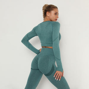 Seamless Women Sport Set For Gym Long Sleeve Top High Waist Belly Control Leggings Clothes Seamless Sport Suit Sexy Booty Girls